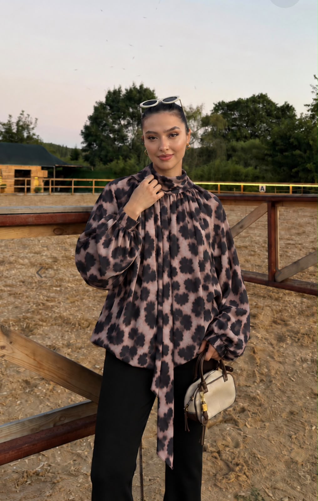 Leopard Print Tie-Neck Blouse